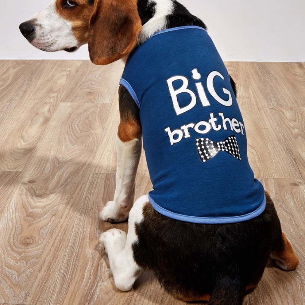 Big brother dog outfit - Picture 1 of 1